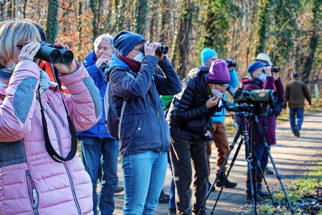 Vogelexkursion Wintergste am Rhein: E...Tierbeobachtung am Rhein bei Weisweil.  | Foto: Ruth Seitz