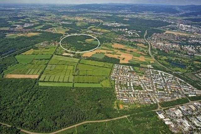 Stadt Freiburg will 50 Hektar Wald als Ausgleichsfläche für Dietenbach kaufen