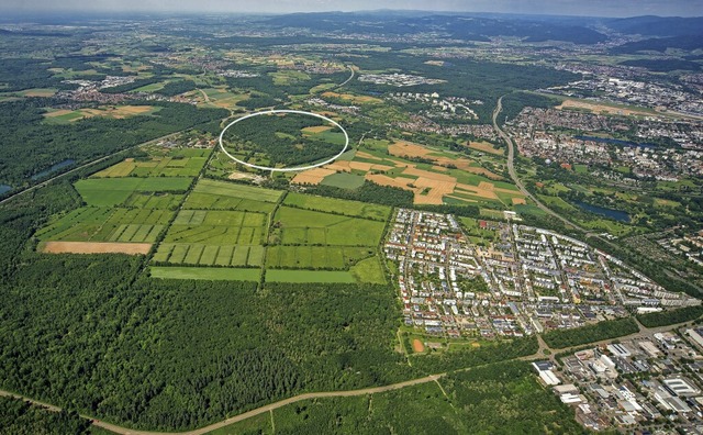 Die rund 50 Hektar groe Waldflche Fr...nd dem geplanten Stadtteil Dietenbach.  | Foto: Nils Theurer