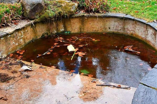 Grne wollen Brunnen in Rheinfelden auf ihre kologische Bedeutung prfen