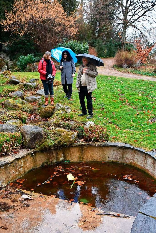 Die Grnen-Fraktion mit Anette und Hei...ichtigung des Brunnens im Salmegg-Park  | Foto: Heinz und Monika Vollmar
