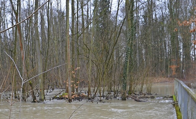 Hochwasser im Rheinwald bei Sasbach Ende Januar 2021  | Foto: Roland Vitt