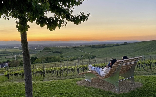 Ein Weiterbildungskurs  zum &#8222;Nat...iege ber den Weinbergen von Auggen.    | Foto: Angelika Gehrmann