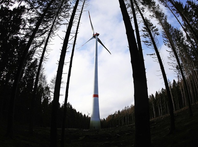 Reine Waldflchen kmen in Eisenbach als Windkraftstandorte in Betracht.  | Foto: Oliver Berg (dpa)