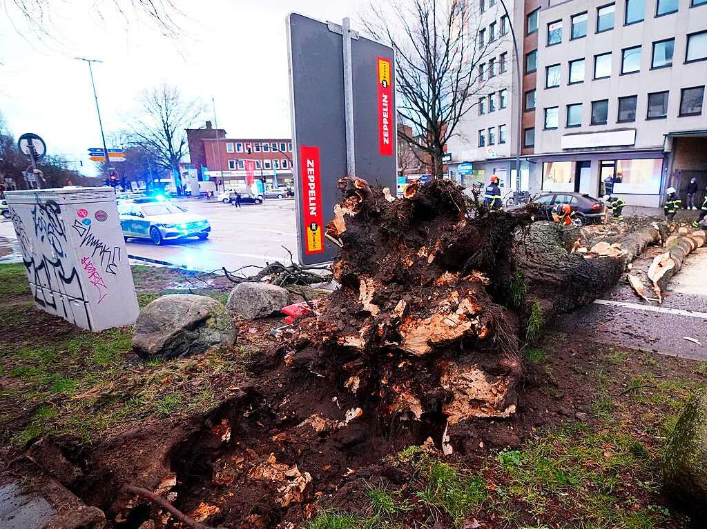 Einsatzkrfte der Feuerwehr zersgen und transportieren einen umgestrzten Baum in Hamburg.