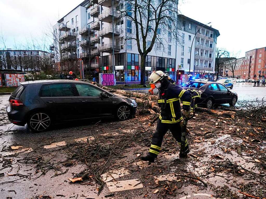 Einsatzkrfte der Feuerwehr in Hamburg zersgen und transportieren einen umgestrzten Baum von der Strae Bahrenfelder Steindamm. Der groe Baum ist laut Polizeiangaben auf zwei Fahrzeuge und einen Radfahrer gestrzt.