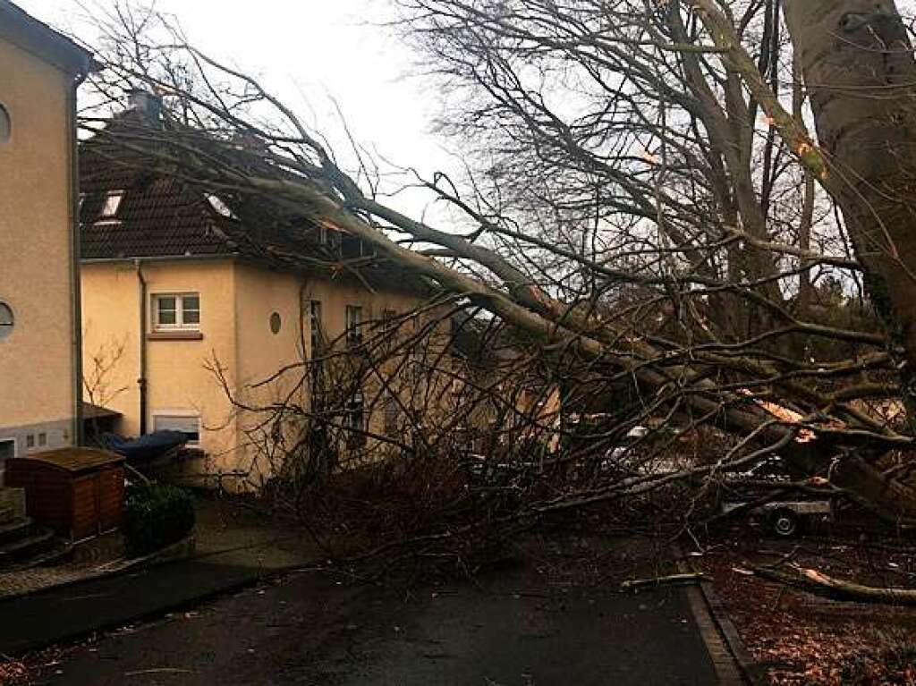 In Mlheim an der Ruhr sind mehrere Bume auf ein Wohnhaus gestrzt.