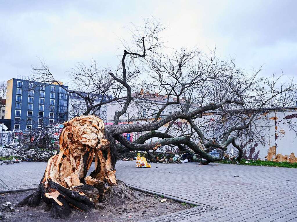 Berlin: Ein Baum liegt auf dem Gehweg an der Warschauer Strae.