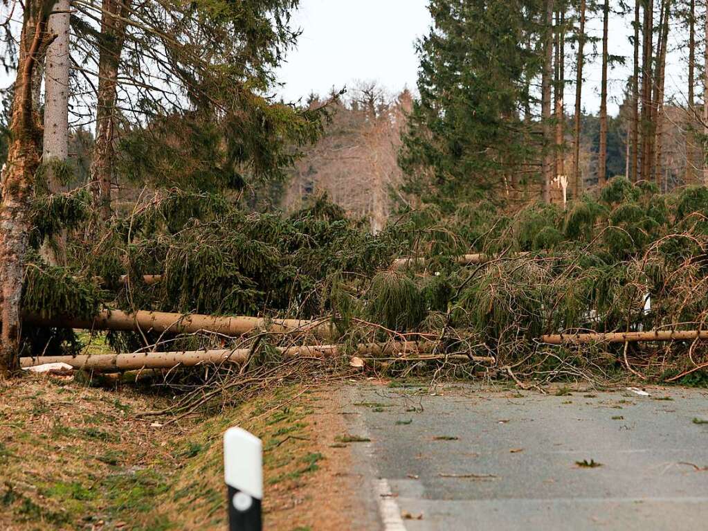 Durch den Sturm umgekippte Bume liegen auf einer Strae. Weiterhin gesperrt sind Verbindungsstraen im Oberharz wie hier die B 27 in Elend.