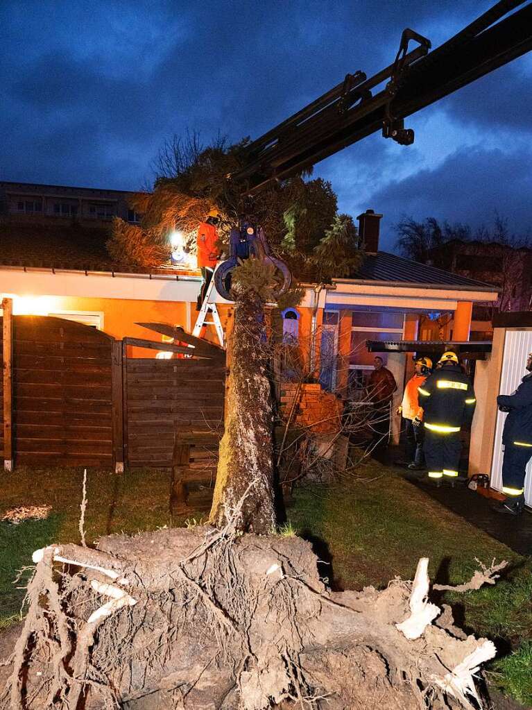 Stralsund: Einsatzkrfte vom Technischen Hilfswerk (THW) rumen eine umgestrzten Baum von einem Dach.