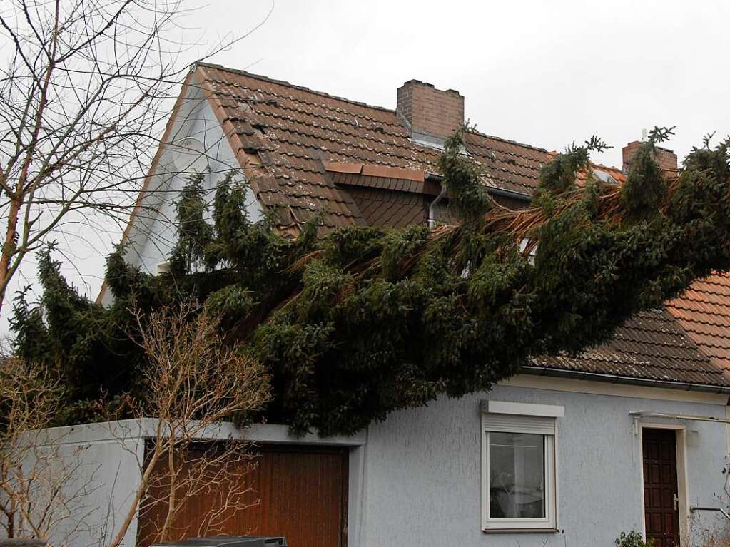 Berlin: Eine Fichte hat sich im Stadtteil Lankwitz auf die Garage eines Hauses gelegt.