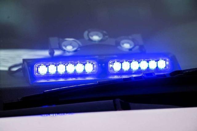 Pkw-Anhänger mit Boxaufbau im Wert von 1500 Euro in Herbolzheim gestohlen