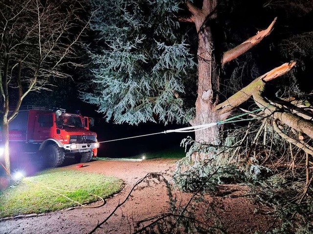 Einsatz im Stadtgarten Emmendingen  | Foto: Feuerwehr Emmendingen