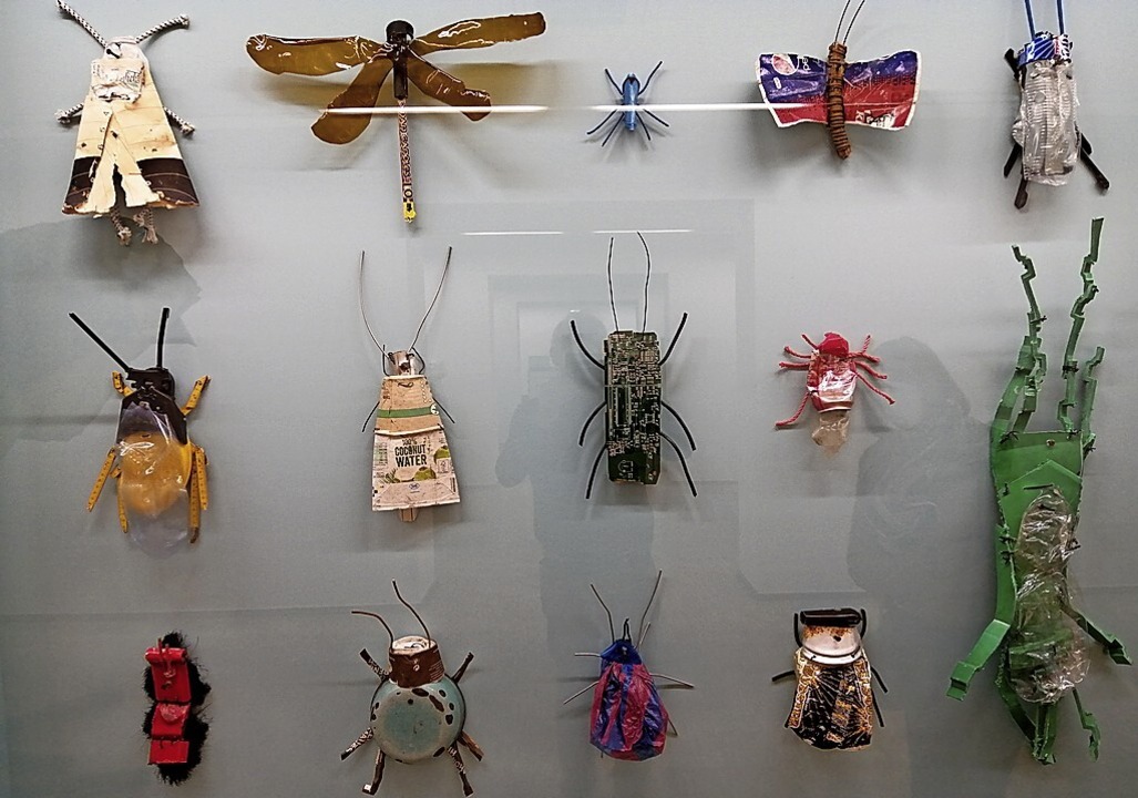 Insekten à la Garff sind schön, können...t ersetzen. Es braucht mehr Blühwiesen  | Foto: Winfried Köninger