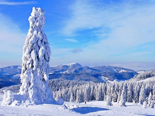 Der Belchen ist das Herzstck des Biosphrengebiets Schwarzwald.  | Foto: Siegfried Kary