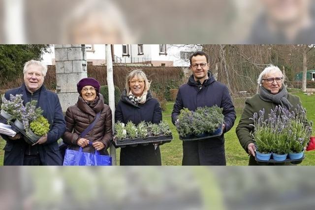 Pietra Ligure schenkt Offenburg Lavendelpflanzen