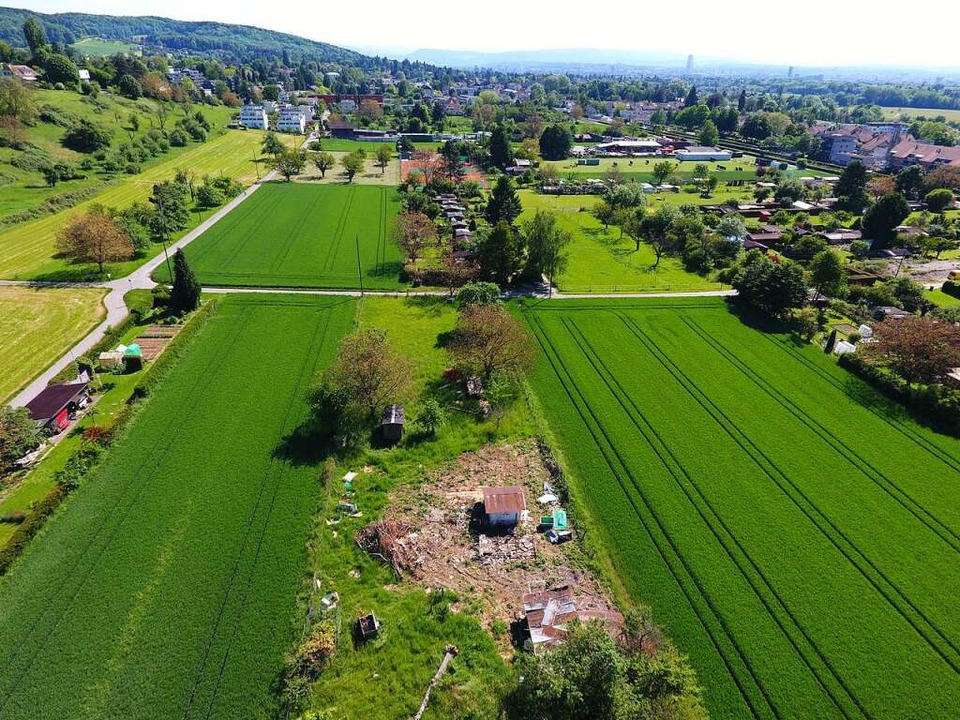 Blick auf das 25 Fußballfelder große Stettenfeld von der Landesgrenze her.  | Foto: Gemeinde Riehen