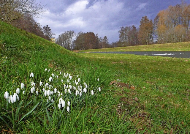   | Foto: Egon Fehrenbach