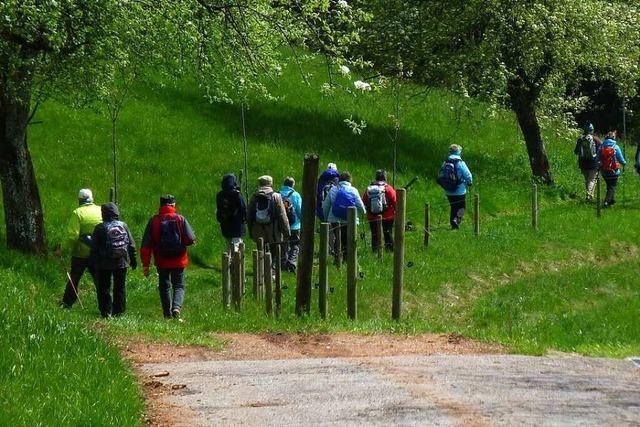 Schopfheimer Naturfreunde beschlieen Auflsung des Vereins