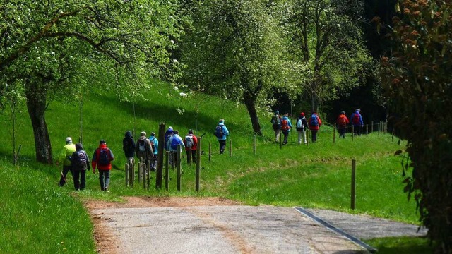 Ein Bild aus der Vergangenheit: Wander...6 gemeinsam mit dem Schwarzwaldverein.  | Foto: privat