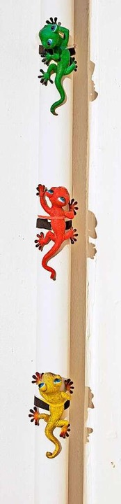 Und ein Gecko schmückt ein Rohr am Haus.  | Foto: Michael Bamberger