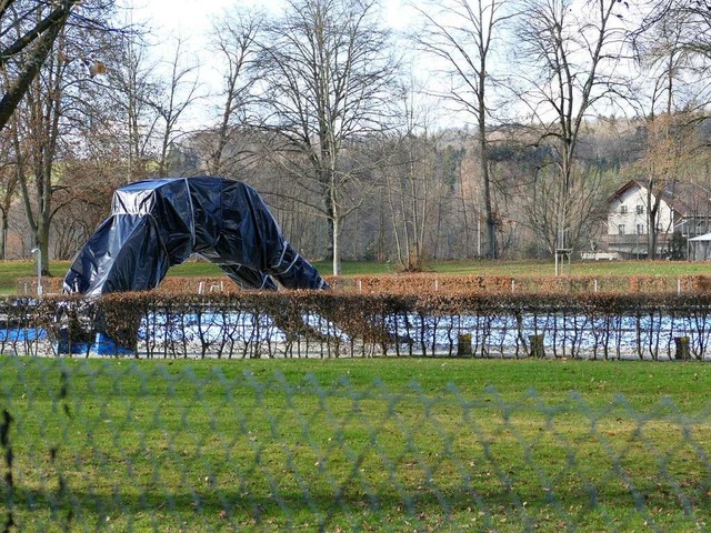 Frs Steinener Freibad ist ein neuer P...gefunden, manches Problem aber bleibt.  | Foto: Martina David-Wenk