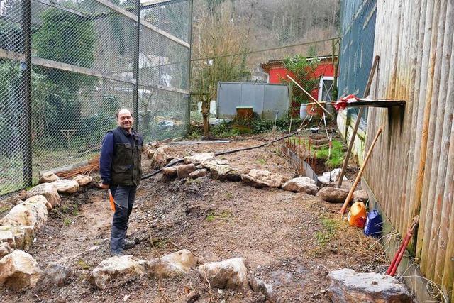 Ralf Volk im knftigen Waldrappengehege.  | Foto: Sylvia Sredniawa