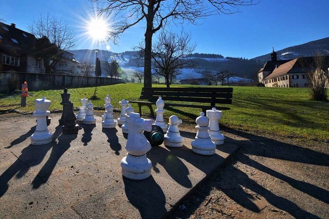 Der Konflikt zwischen ihrem Brgermeis...als Schachfiguren wider Willen fhlen.  | Foto: Kathrin Blum