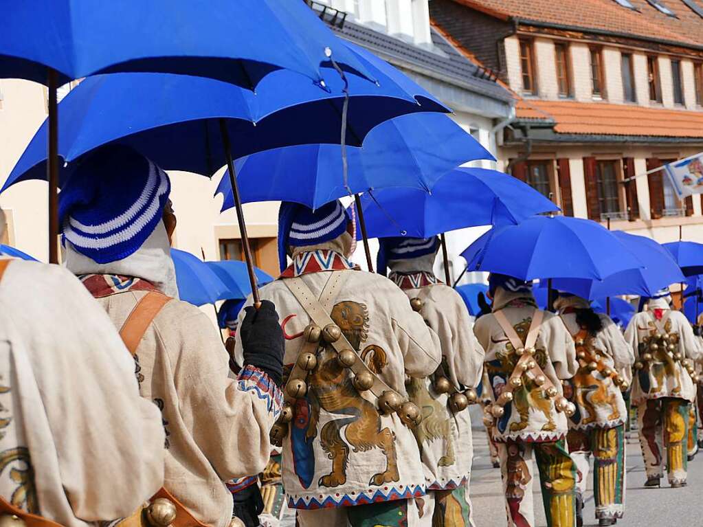 Die Bonndorfer Pflumeschlucker eroberten das Bonndorfer Rathaus. Narrenrat, Hansele und Stadtmusik zogen in den kontrollierten Bereich ums Rathaus ein.