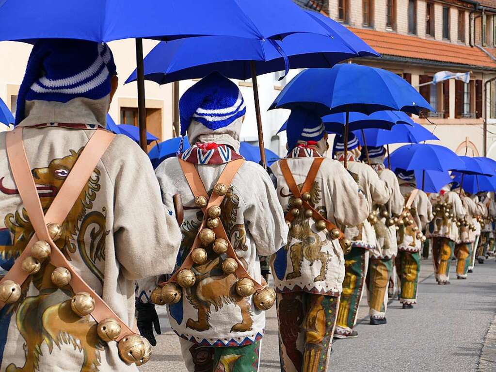 Die Bonndorfer Pflumeschlucker eroberten das Bonndorfer Rathaus. Narrenrat, Hansele und Stadtmusik zogen in den kontrollierten Bereich ums Rathaus ein.