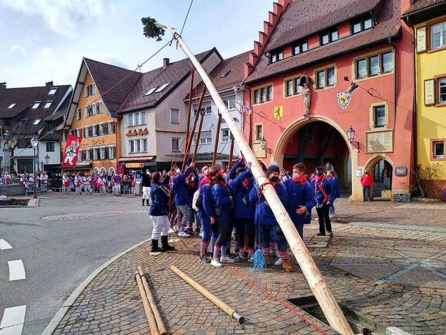 Der Narrenbaum war diesmal besonders hoch.  | Foto: Martin Wunderle