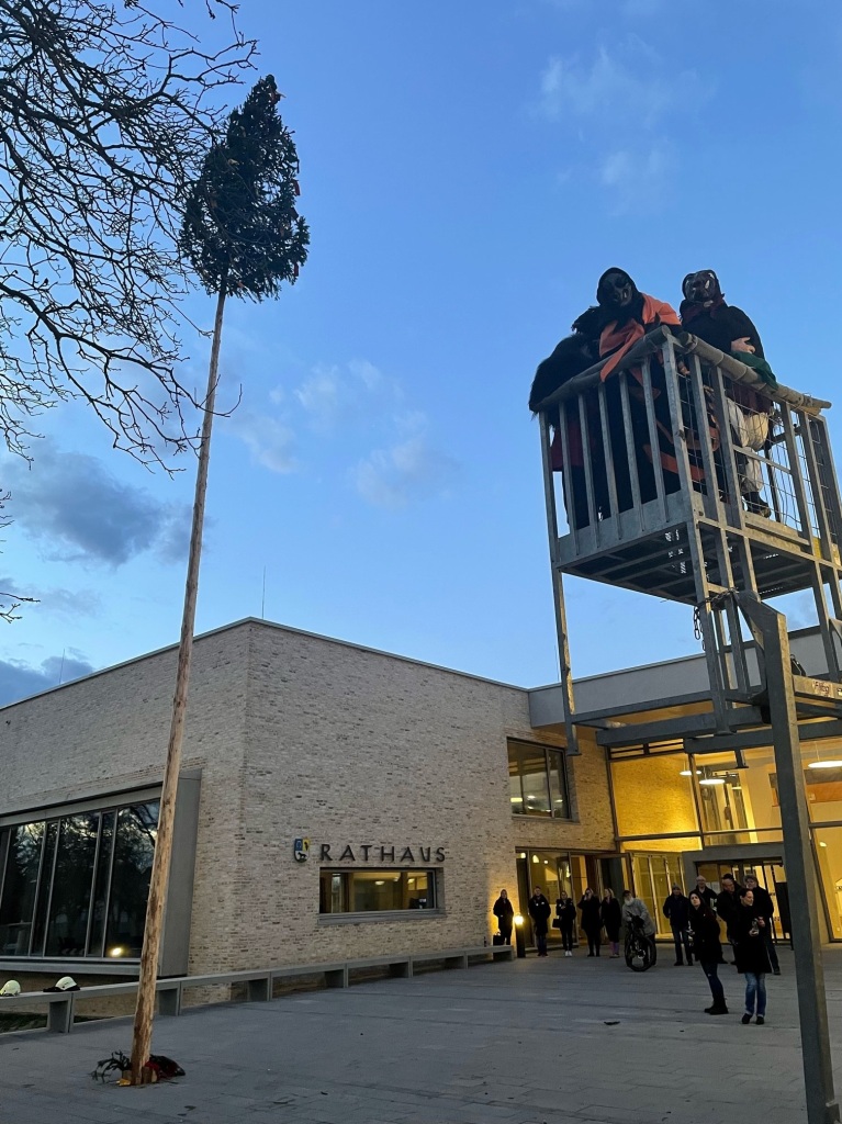 Am Abend wurde in Schallstadt der Narrenbaum gestellt.