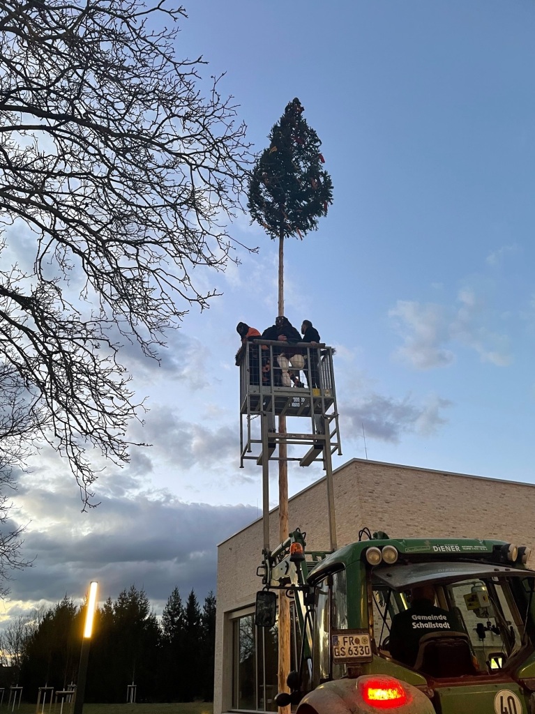 Der Narrenbaum schmckt nun den Vorplatz des neuen Rathauses in Schallstadt.