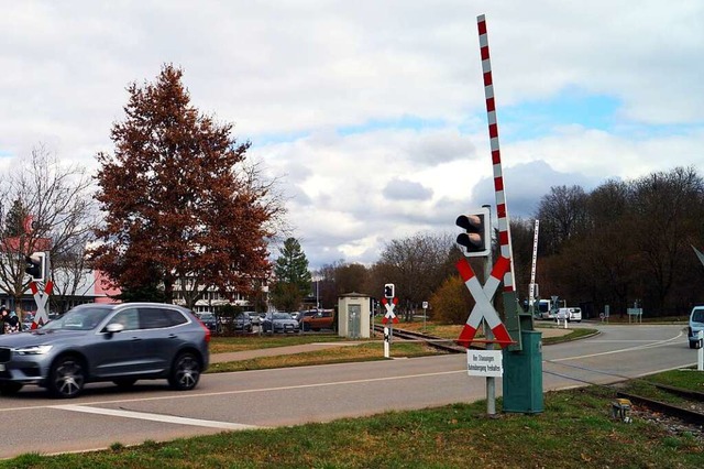 Eine  S-Bahn, nicht nur eine Museumsbahn soll  hier fahren, vertritt die IG.  | Foto: Silke Hartenstein