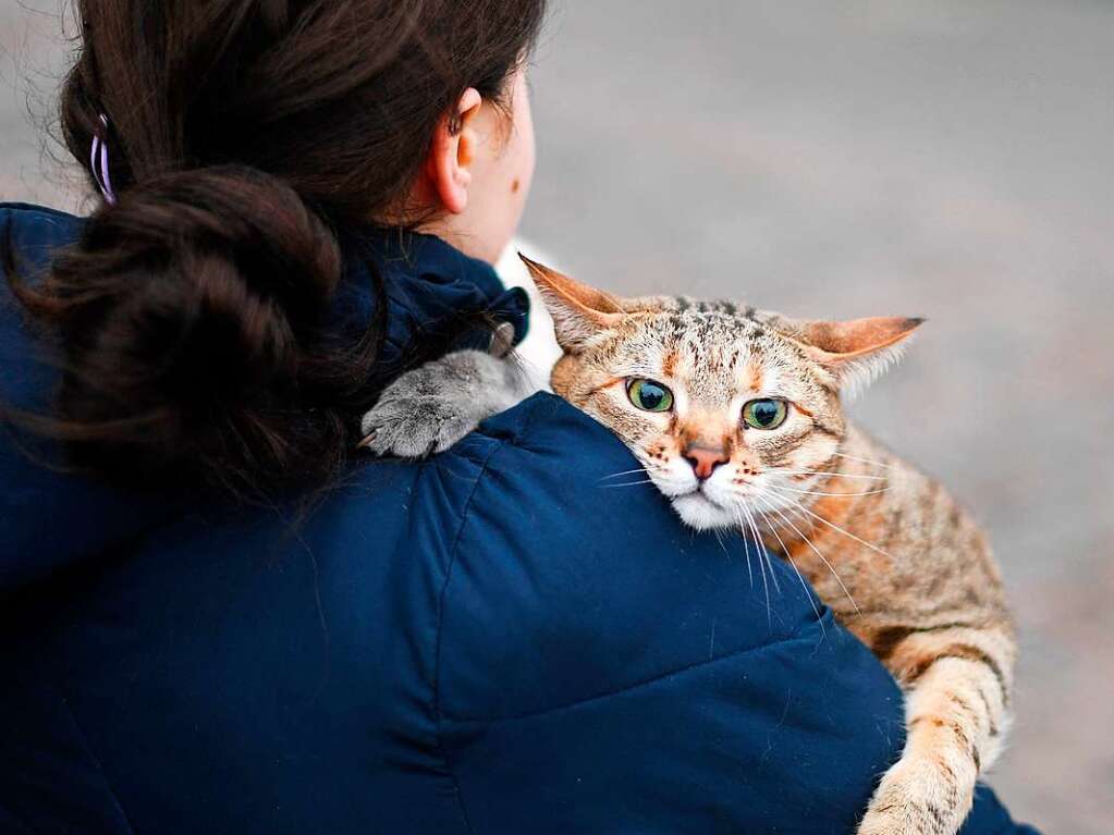 Eine Frau nimmt ihre Katze mit auf die Flucht.