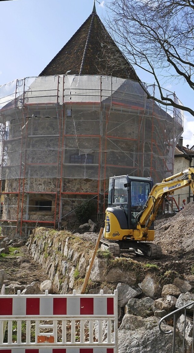 Beim Gallusturm wird zurzeit ein kleiner Weinberg angelegt.  | Foto: Michael Gottstein