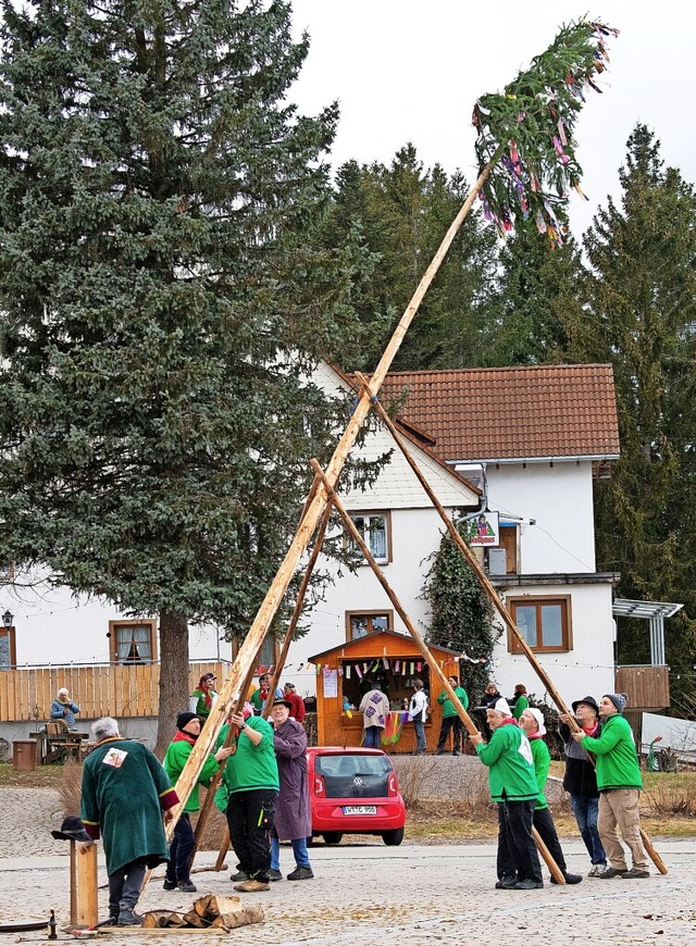 Krftige Holzhacker aus Holzschlag stellten den  Narrenbaum auf dem Dorfplatz.  | Foto: Wolfgang Scheu