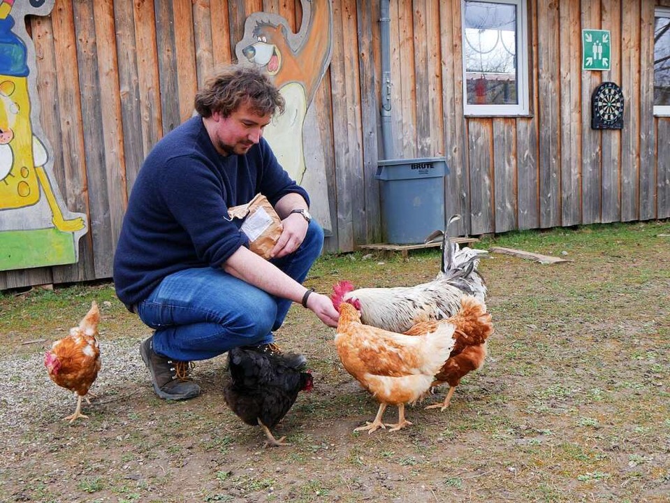 Mittlerweile sind die Hühner handzahm. Malte Lindeman übernimmt die Fütterung.  | Foto: Sophia Kaiser