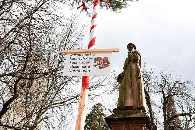 Freiburger Online-Fasnet wird mit kleinerem Programm fortgesetzt