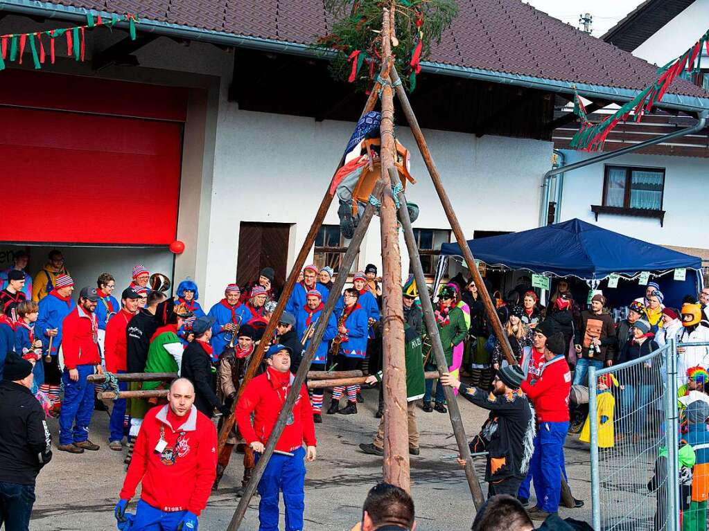 Mit vereinten Krften wird der Narrenbaum gestellt.