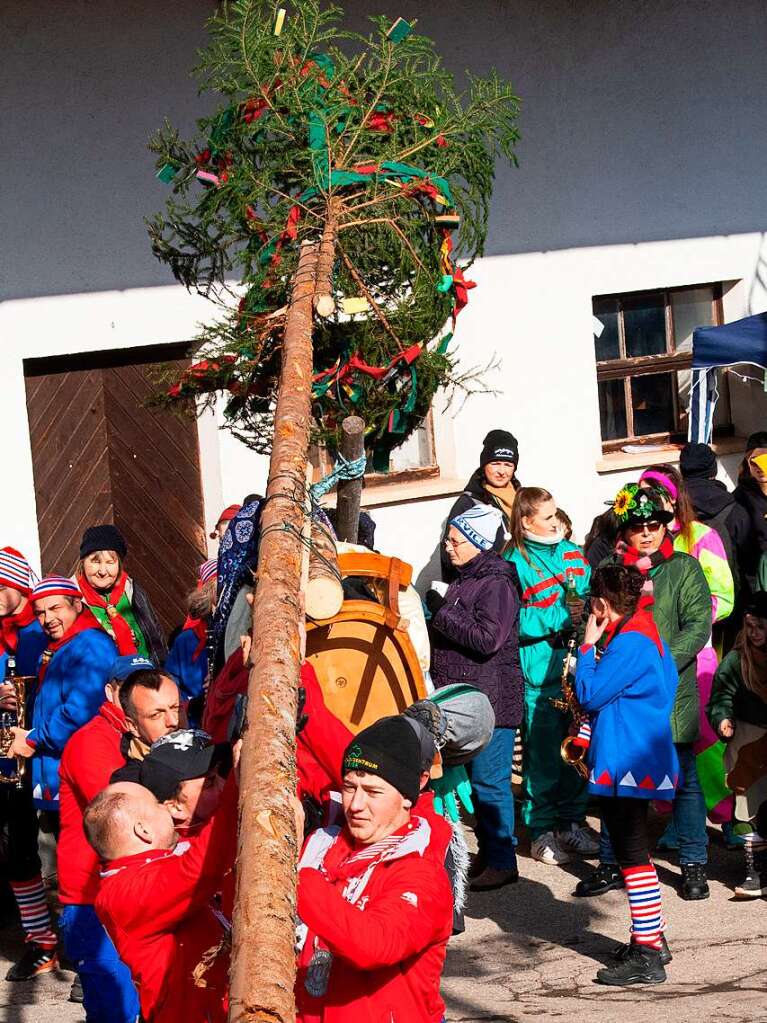 Mit vereinten Krften wird der Narrenbaum gestellt.