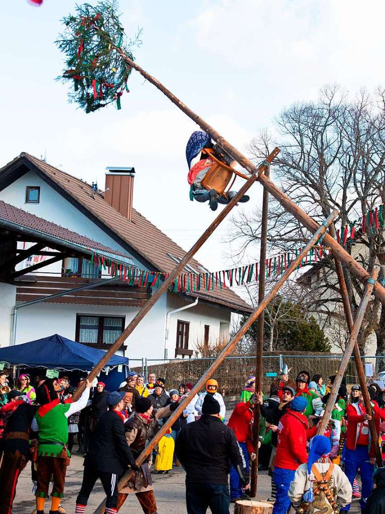 Mit vereinten Krften wird der Narrenbaum gestellt.