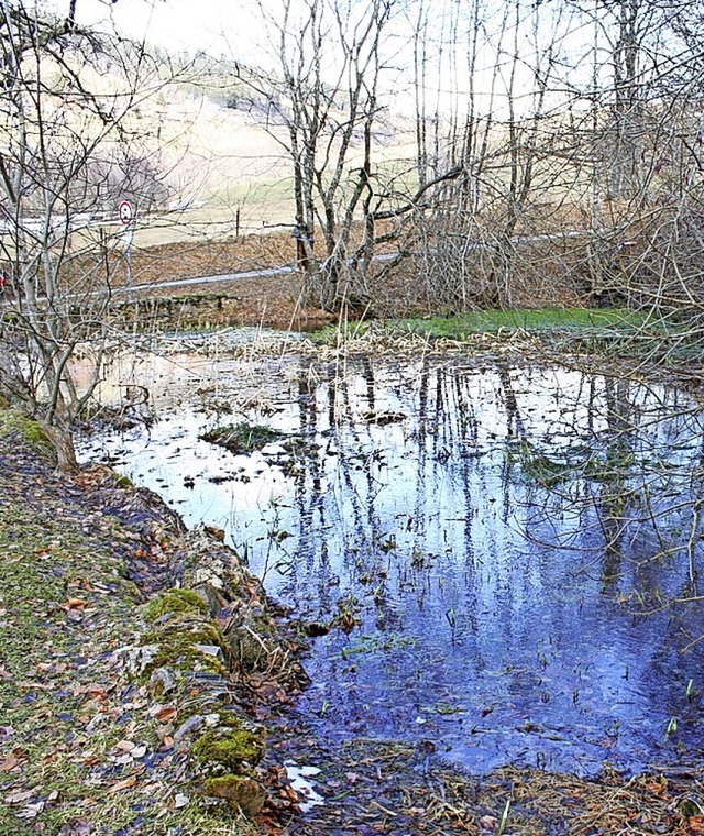 Biotop- und Entenweiher an der Kreisstrae bei der Lochmhle  | Foto: Gerd Sutter