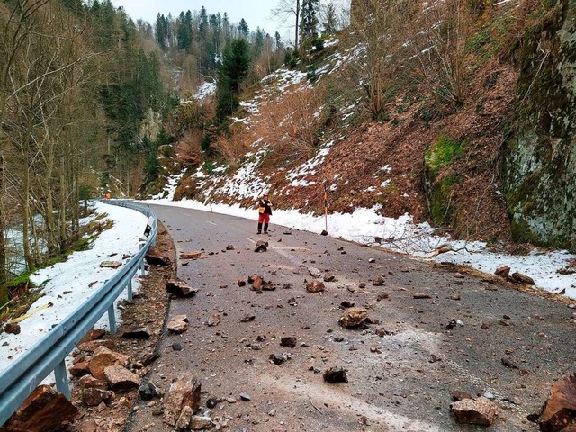 Felsbrocken liegen auf der Strae, nac...irma gefhrliche Felsen gesprengt hat.  | Foto: Landratsamt Lrrach