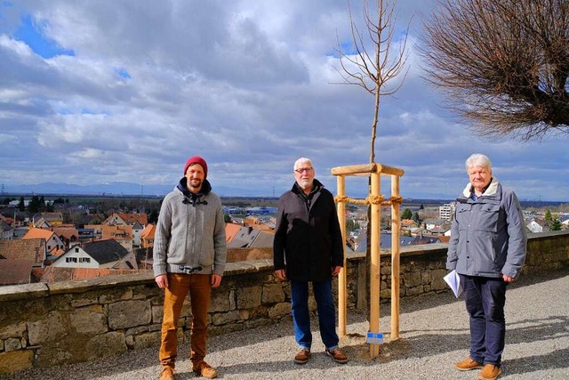 Freuen sich ber die neue Linde: Domin...ner (evangelischer Pfarrer, von links)  | Foto: Martin Pfefferle