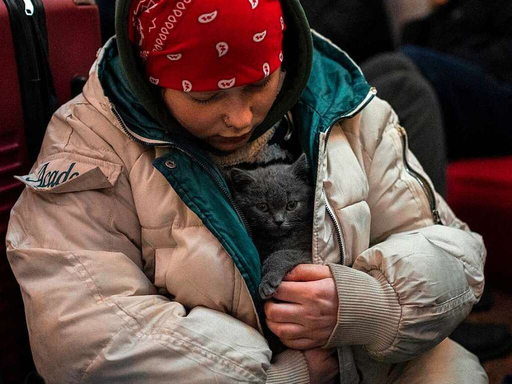 Lwiw: Ein ukrainisches Mdchen streichelt im Bahnhof ihre Katze, die sie in ihrem Mantel schtzt.