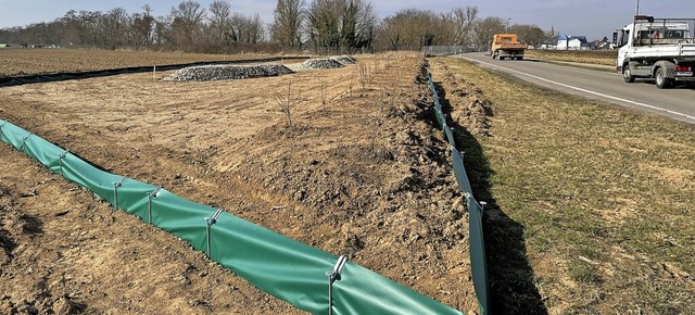 An der Feldkircher Strae entsteht ein neues Zuhause fr Eidechsen.  | Foto: Frank Schoch