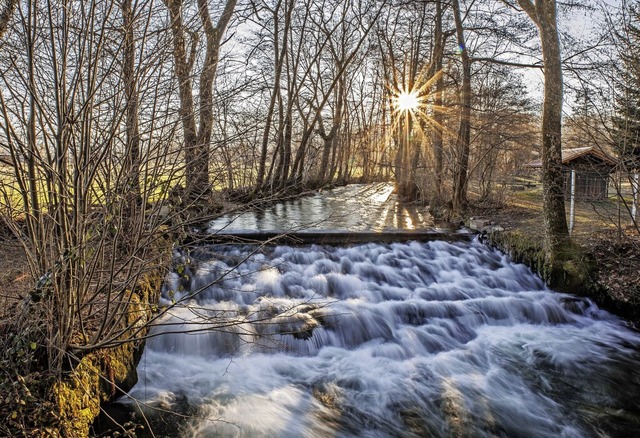   | Foto: Bernd Wehrle