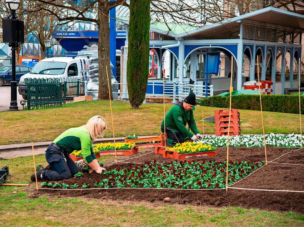 Die Grtnerinnen und Grtner bepflanzen die Blumenbeete.