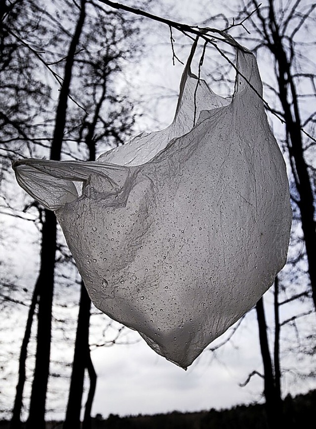 Der BUND bittet Fugnger darum, achtl...ggeworfenen Plastikmll einzusammeln.   | Foto: Patrick Pleul